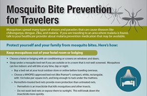 mosquito-travelers