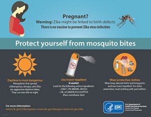 zika-pregnancy-poster